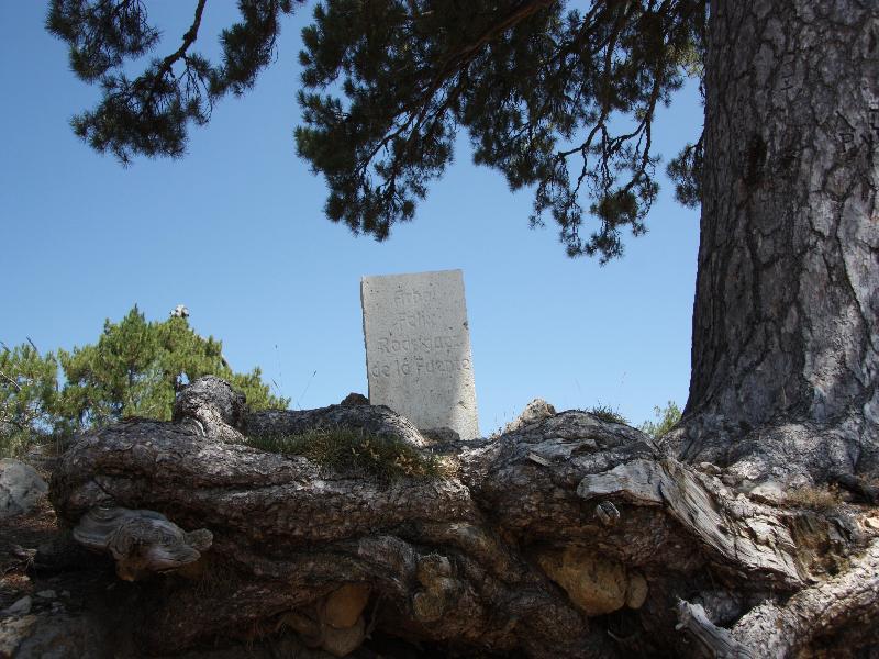 Hotel Rural Montana De Cazorla Arroyo Frio Kültér fotó