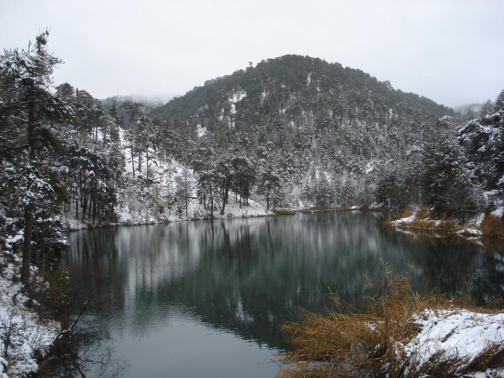 Hotel Rural Montana De Cazorla Arroyo Frio Kültér fotó