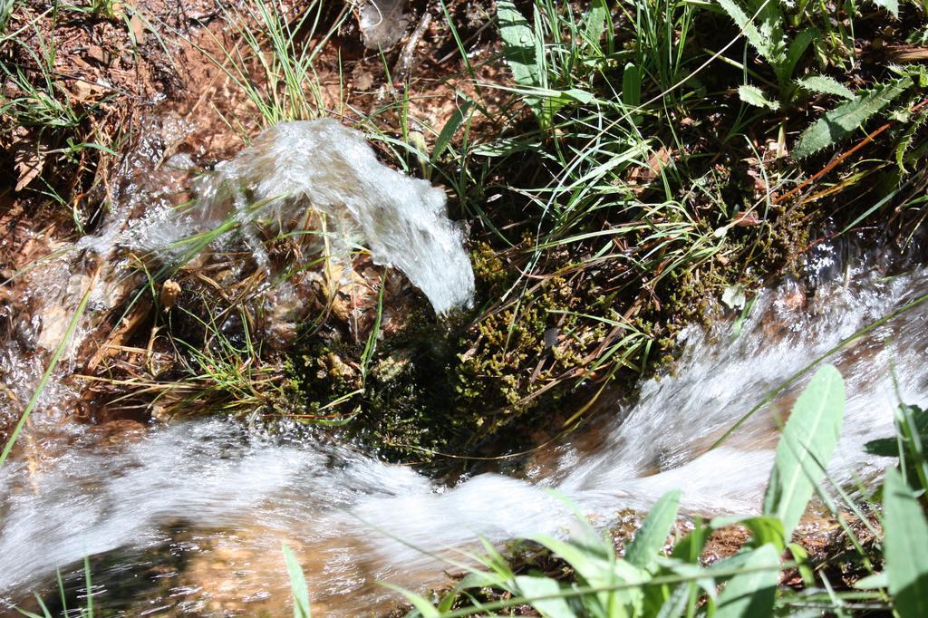 Hotel Rural Montana De Cazorla Arroyo Frio Kültér fotó