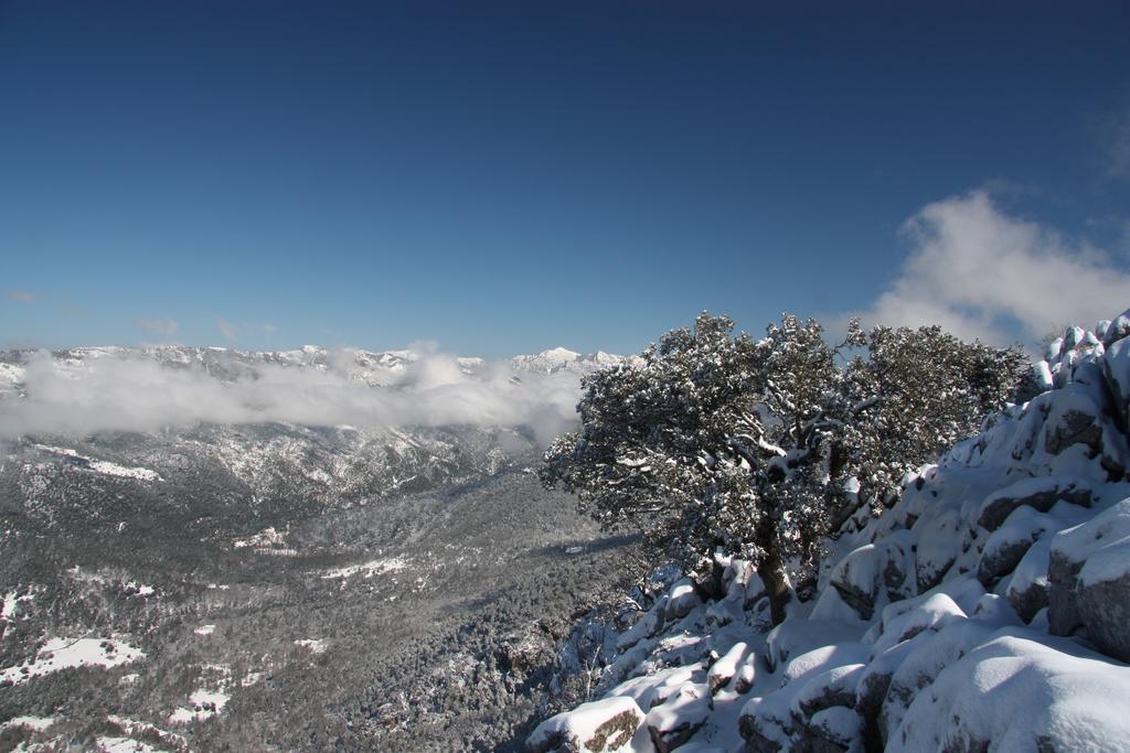 Hotel Rural Montana De Cazorla Arroyo Frio Kültér fotó