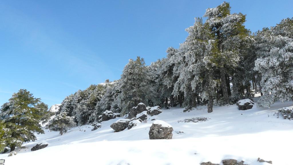 Hotel Rural Montana De Cazorla Arroyo Frio Kültér fotó